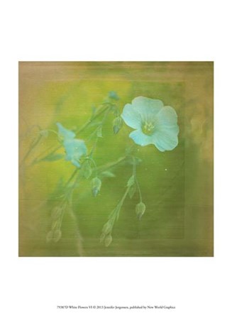 White Flowers VI by Jennifer Jorgensen art print