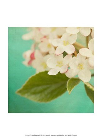 White Flowers IX by Jennifer Jorgensen art print