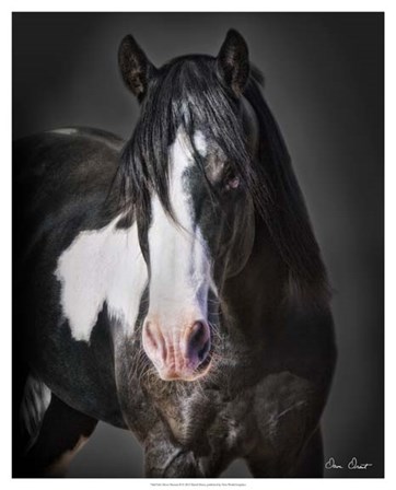 Horse Portrait II by David Drost art print