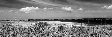 Shore Panorama III by Jeff Pica art print