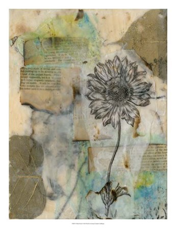 Vellum Floral I by Jennifer Goldberger art print
