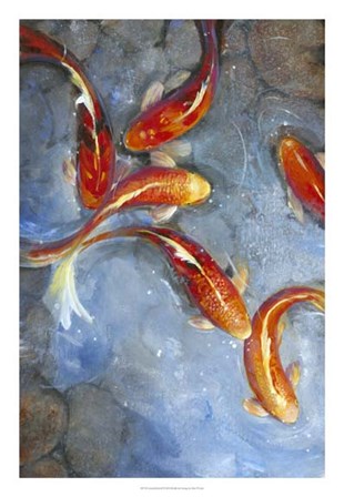 Graceful Koi II by Timothy O&#39;Toole art print