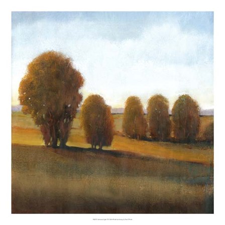 Afternoon Light VI by Timothy O&#39;Toole art print