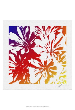 Floral Brights I by James Burghardt art print