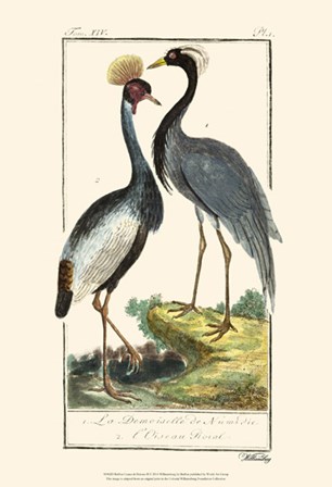 Buffon Cranes &amp; Herons II by Georges-Louis Leclerc, Comte de Buffon art print