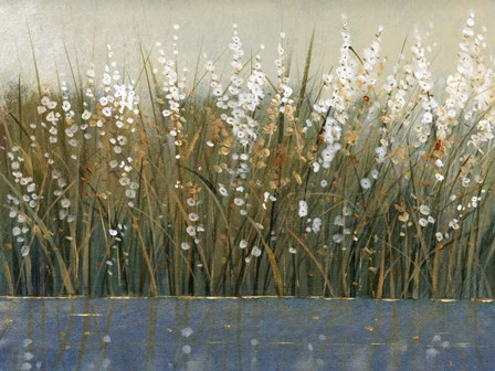 By the Tall Grass II by Timothy O&#39;Toole art print