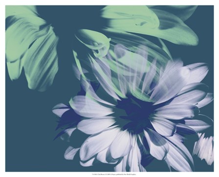 Teal Bloom I by A. Project art print