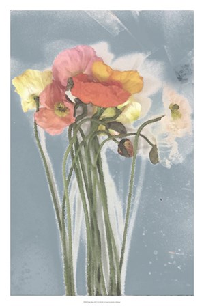 Poppy Spray III by Jennifer Goldberger art print