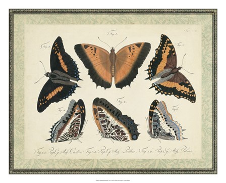 Bookplate Butterflies Trio I by Vision Studio art print