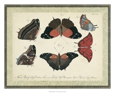 Bookplate Butterflies Trio II by Vision Studio art print