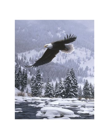 Free Flight (detail) by Daniel Smith art print
