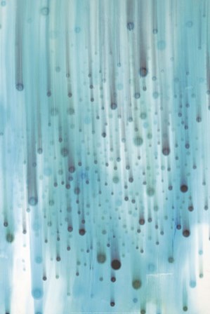 Rain by Candice Alford art print