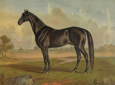 America&#39;s Renowned Stallions, c. 1876 II by Vintage Reproduction art print