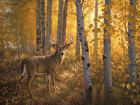 Whitetail in Aspens by Greg Alexander art print