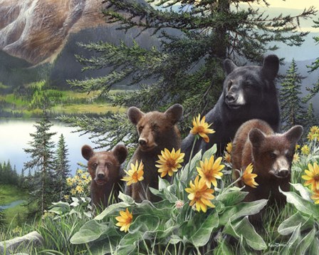 Basking in the Balsams by Kevin Daniel art print