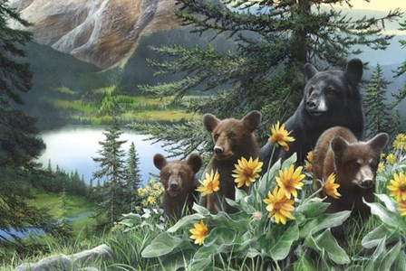 Basking in the Balsams by Kevin Daniel art print