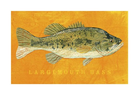 Largemouth Bass by John W. Golden art print