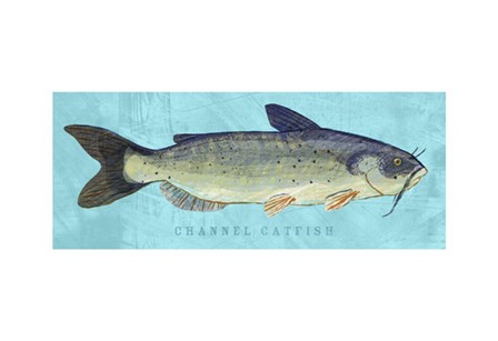 Channel Catfish by John W. Golden art print