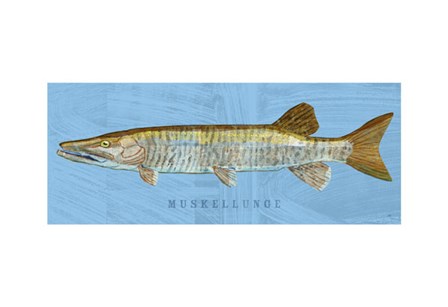 Muskellunge by John W. Golden art print