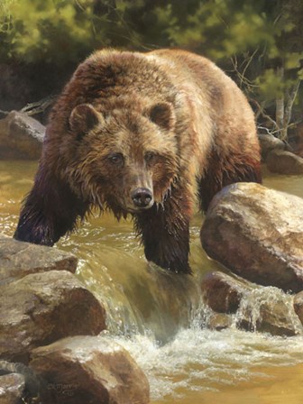 Grizzly at Roaring Creek by Bonnie Marris art print