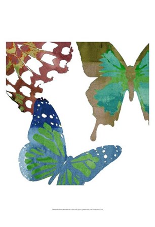 Scattered Butterflies II by Sisa Jasper art print