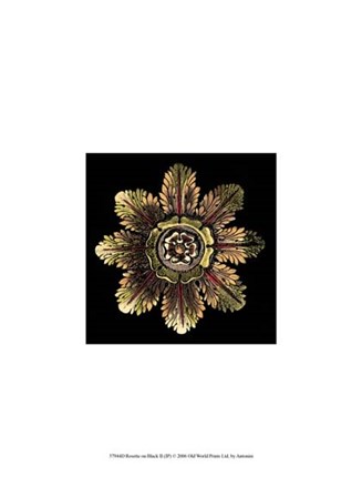 Rosette on Black II by Da Carlo Antonini art print