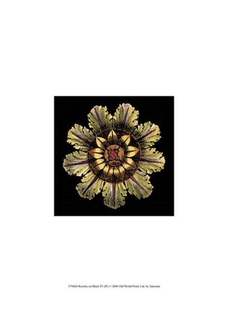 Rosette on Black IV by Da Carlo Antonini art print