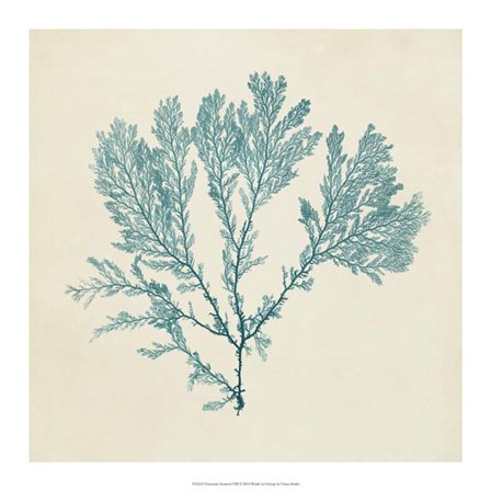 Chromatic Seaweed VIII by Vision Studio art print