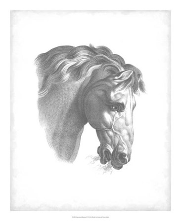 Equestrian Blueprint IV by Vision Studio art print