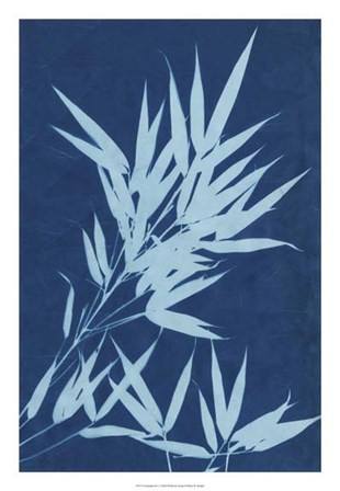 Cyanotype No.1 by Renee Stramel art print