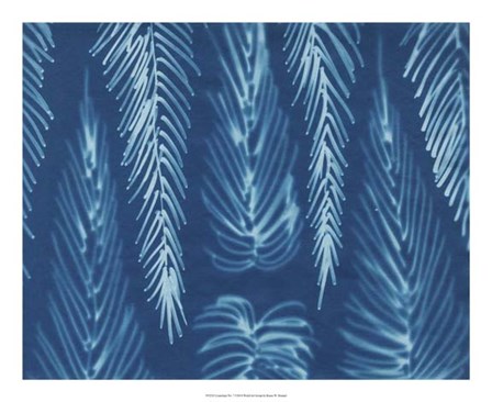 Cyanotype No.7 by Renee Stramel art print