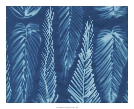 Cyanotype No.8 by Renee Stramel art print