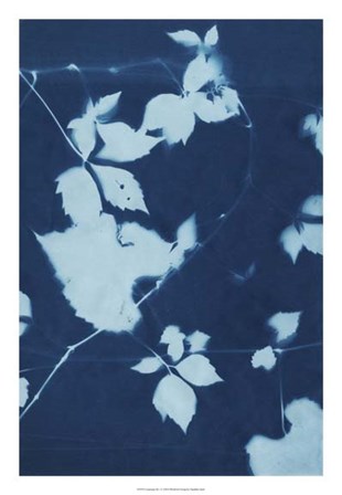 Cyanotype No.11 by Chariklia Zarris art print