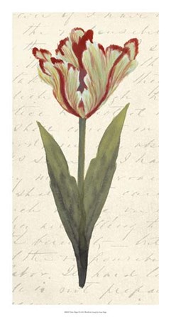 Twin Tulips I by Grace Popp art print