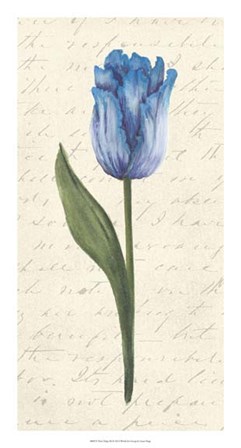 Twin Tulips III by Grace Popp art print