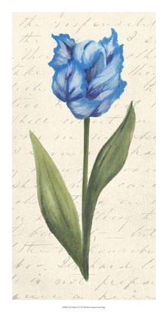 Twin Tulips IV by Grace Popp art print