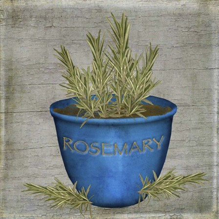Herb Rosemary by Beth Albert art print