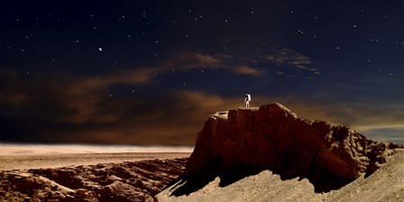 Artist&#39;s Depiction of a Lone Astronaut on Another Planet by Frank Hettick/Stocktrek Images art print