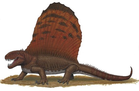 Dimetrodon by Heraldo Mussolini/Stocktrek Images art print