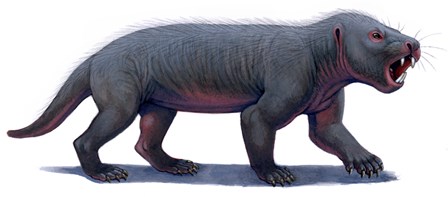 Kayentatherium, a Mammal-like Tritylodont of the Jurassic Period by H. Kyoht Luterman/Stocktrek Images art print