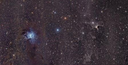 Iris Nebula in Cepheus by John Davis/Stocktrek Images art print