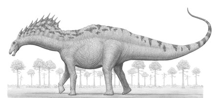 Amargasaurus Cazaui Dinosaur from the Early Cretaceous Period by Heraldo Mussolini/Stocktrek Images art print