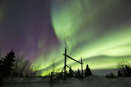 Aurora Borealis over a Ranch, Whitehorse, Yukon, Canada by Joseph Bradley/Stocktrek Images art print