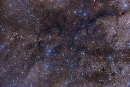 Dark Nebula Complex LDN 1003 by John Davis/Stocktrek Images art print