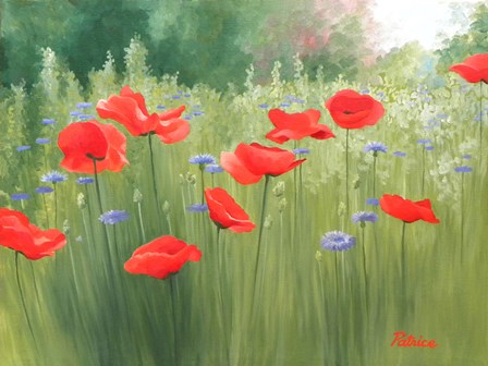 Backyard Poppies by Patrice Procopio art print