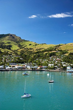 New Zealand, South Island, Canterbury, Akaroa Harbor by David Wall / Danita Delimont art print