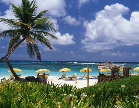 Dawn Beach on St Martin, Caribbean by Greg Johnston / Danita Delimont art print