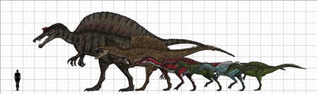 Spinosauridae Size chart by Vitor Silva/Stocktrek images art print