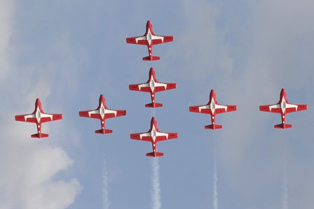 Snowbirds 431 Air Squadron of the Canadian Air Force by Terry Moore/Stocktrek Images art print