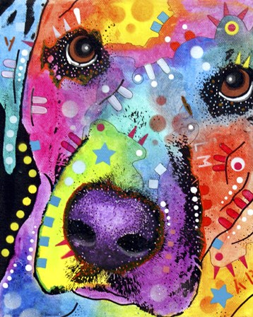 Closeup Labrador by Dean Russo art print